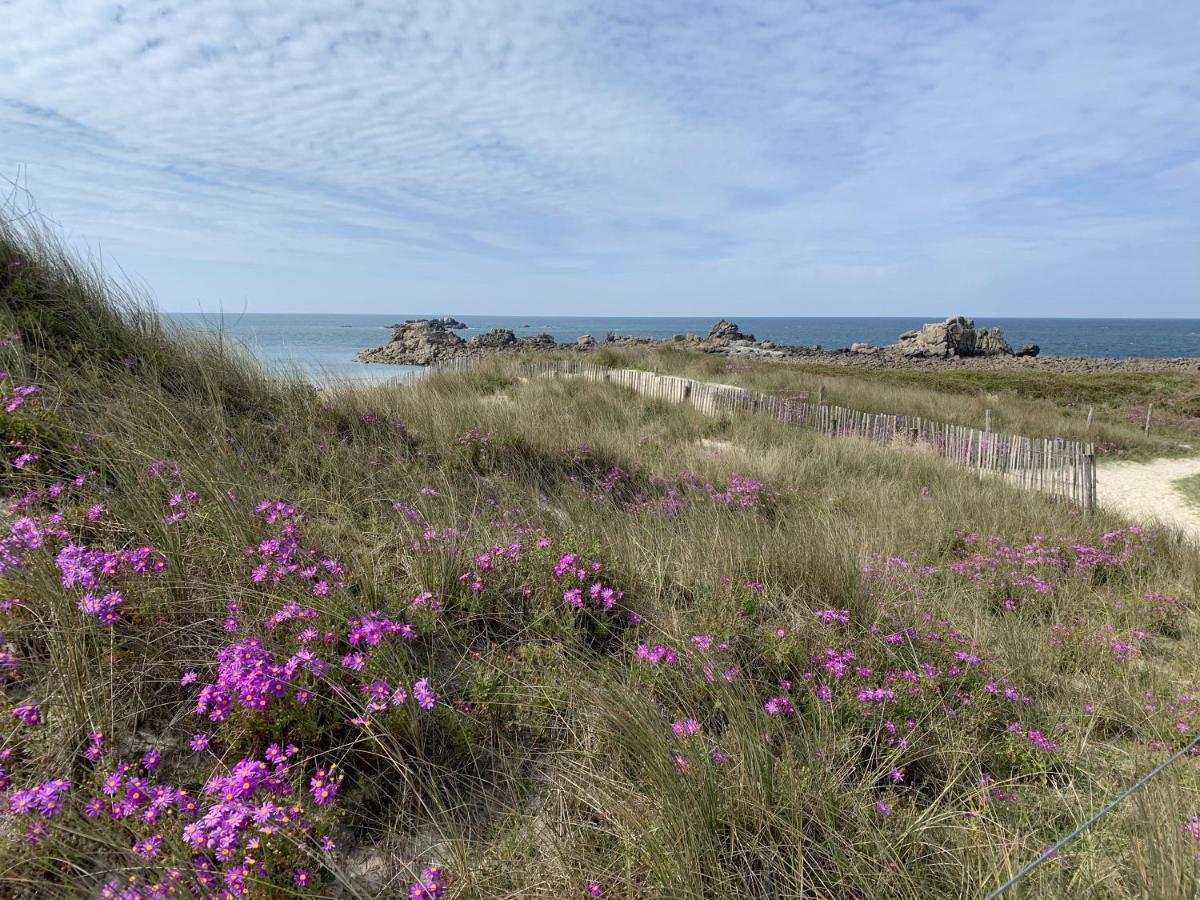 L'Escale 551, Gite Santec A 250M De La Plage ภายนอก รูปภาพ