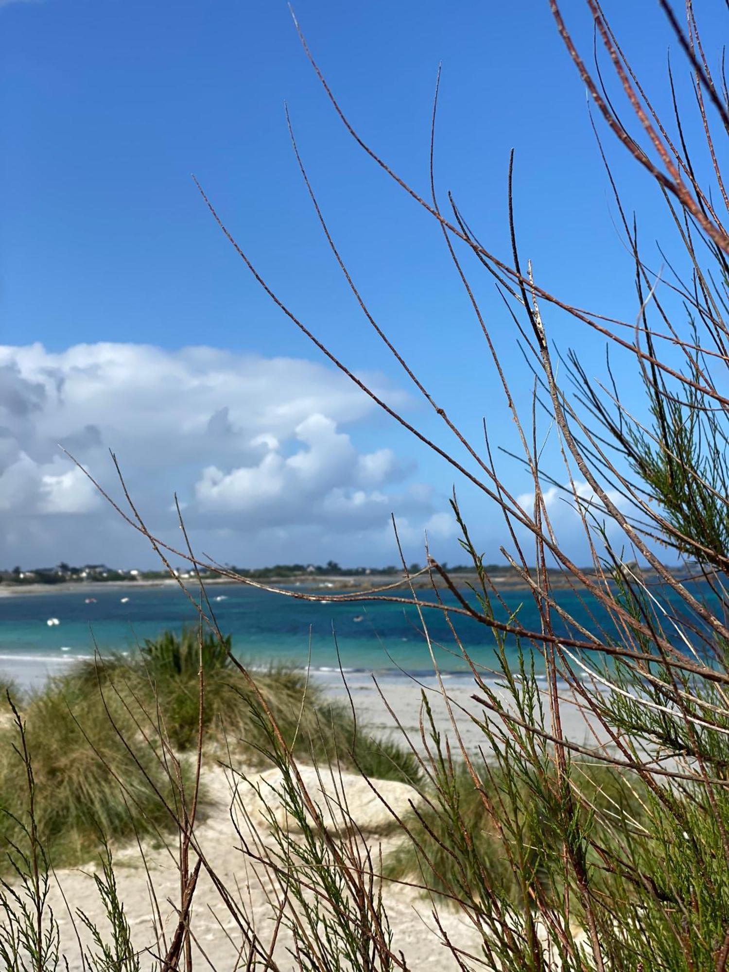 L'Escale 551, Gite Santec A 250M De La Plage ภายนอก รูปภาพ